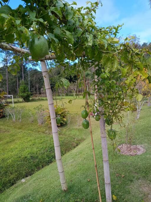 Sitio Paraiso Verde Juquitiba Extérieur photo