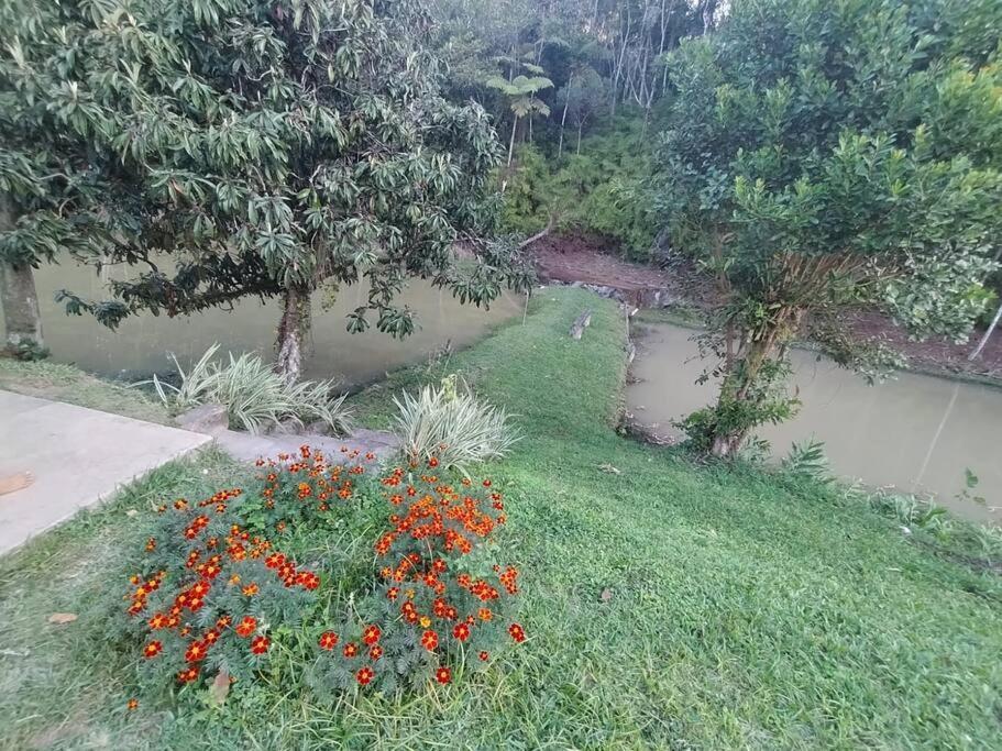 Sitio Paraiso Verde Juquitiba Extérieur photo
